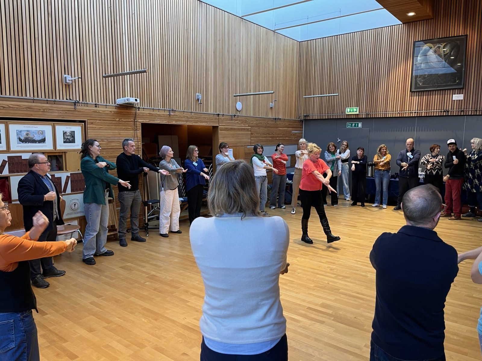 Clowndoctors assemble in Edinburgh!  - efhco General Assembly event photo